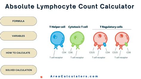 Absolute Lymphocyte Count Calculator & Formula Online .
